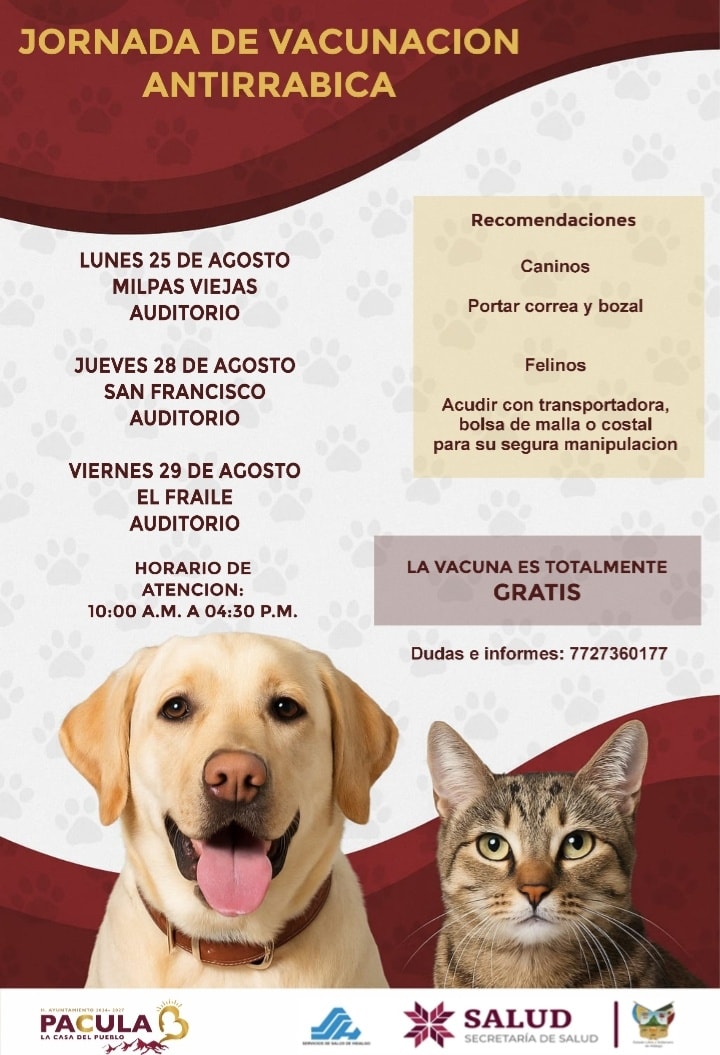 Noticia